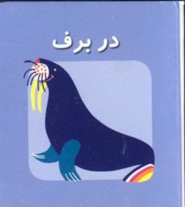 اولین کتاب های مکعبی من در برف