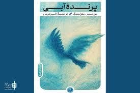 پرنده آبی