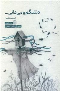 دلتنگم و می‌دانی