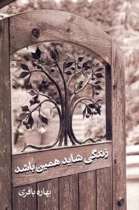 زندگی شاید همین باشد