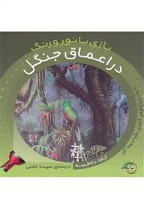 بازی با نور و رنگ - در اعماق جنگل