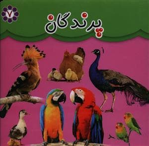 کتاب مقوایی پرندگان 16*16