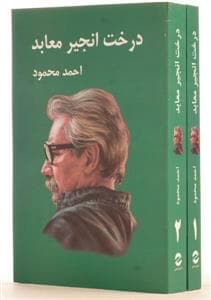 درخت انجیر معابد - دو جلدی