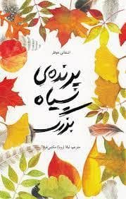 پرنده ی سیاه بزرگ