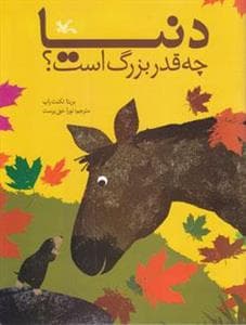 دنیا چه قدر بزرگ است ؟