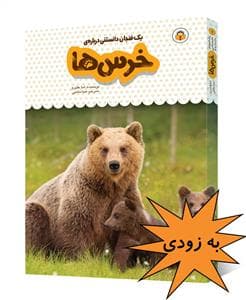 یک فنجان دانستنی درباره‌ی خرس‌ها