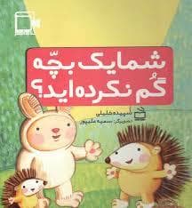 شما یک بچه گم نکرده اید