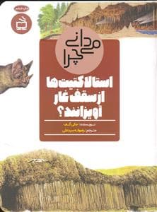 می دانی چرا استالا کتیت ها ازسقف غار آویزان اند