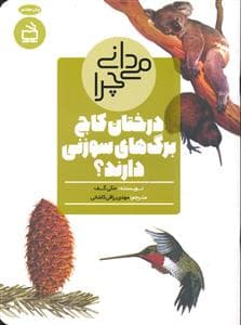 می دانی چرا درختان کاج برگ های سوزنی دارند