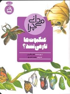 می دانی چرا عنکبوت ها تار می تنند