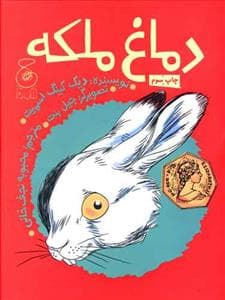 دماغ ملکه