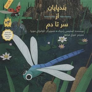 بندپایان از سر تا دم