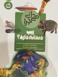 می دانی چرا زیپ دندانه دارد
