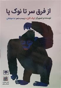 از فرق سر تا نوک پا