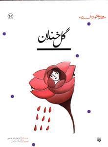 جلد کتاب قصه ای نو از افسانه - گل خندان