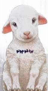 بره کوچولو