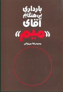 بارداری بی‌هنگام آقای میم