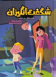 جلد کتاب شگفت انگیزان - قهرمانان درخانه