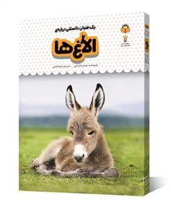 جلد کتاب یک فنجان دانستنی دربارهی الاغها
