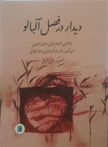 جلد کتاب دیدار در فصل آلبالو