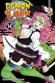 جلد کتاب دمون اسلایر Demon Slayer 14