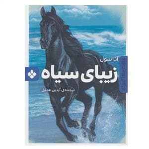 جلد کتاب رمانهای ماندگار جهان - زیبای سیاه