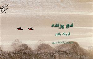 جلد کتاب دو پرنده