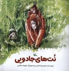 جلد کتاب نت های جادویی