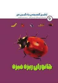 جلد کتاب اولین گنجینه یادگیری من - جانوران ریزه میزه