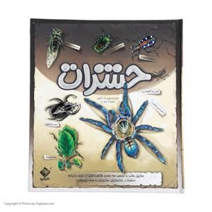 جلد کتاب حشرات - حقایق جالب و تصاویر سهبعدی شگفتانگیز